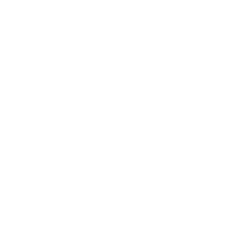 Logo Padel Lounge blanc